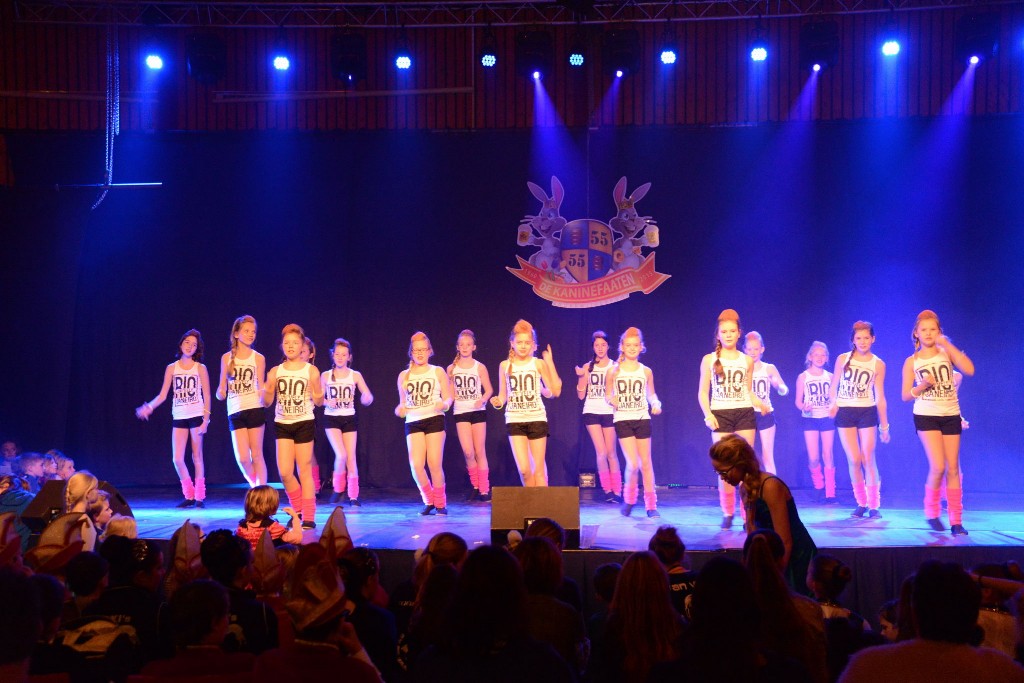 ../Images/Dansmarieke festival 2015 341.jpg